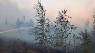 В тушении лесного пожара в Марий Эл задействованы 250 человек