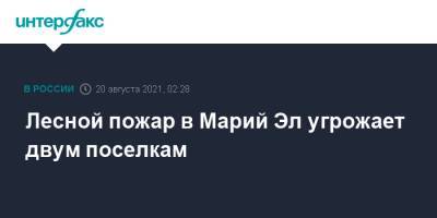 Лесной пожар в Марий Эл угрожает двум поселкам