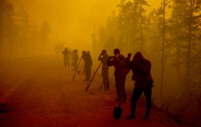 В России за сутки потушено 162 тысячи гектаров горящих лесов