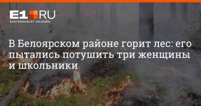 В Белоярском районе горит лес: его пытались потушить три женщины и школьники