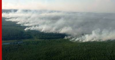 О ситуации с лесными пожарами в России рассказали в Авиалесохране