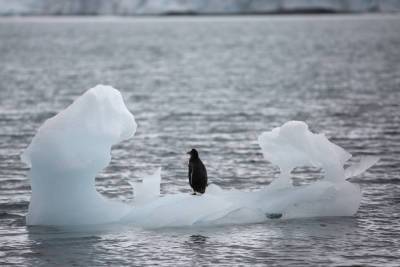 Под самым опасным ледником Антарктиды обнаружили источник, который может изменить жизнь на Земле