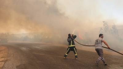 Страны Средиземноморья борются с лесными пожарами
