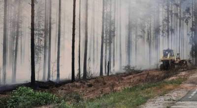 Из-за лесного пожара в Марий Эл перекрыли дорогу от Кокшайского кольца