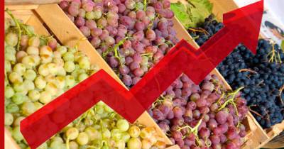 Рост цен на виноград спрогнозировали в России