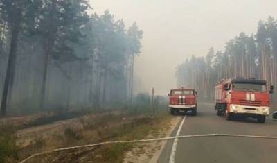 Из санаториев Марий Эл эвакуировали 634 человека в связи с лесными пожарами