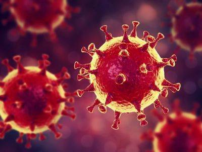 Ученые обнаружили рецептор, ответственный за заражение коронавирусом человека