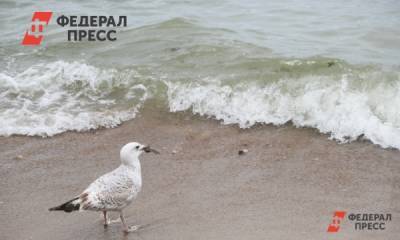 Пользователи соцсетей сообщили о загрязнении Белого моря нефтепродуктами