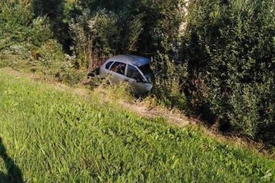 Водитель не справился с управлением и врезался в дерево в Куньинском районе