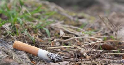 Исследование: антипрививочников оказалось больше среди курильщиков