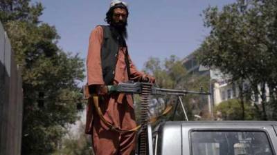 Талибы убили родственника журналиста DW: его семья должна прятаться