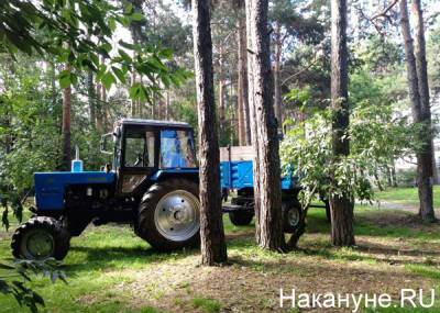 В Челябинске возбуждено уголовное дело по факту вырубки деревьев под школу бокса