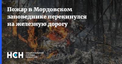 Пожар в Мордовском заповеднике перекинулся на железную дорогу