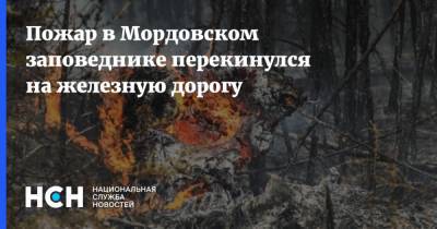 Алексей Ярошенко - Пожар в Мордовском заповеднике перекинулся на железную дорогу - nsn.fm - Москва - Нижегородская обл. - Арзамас - Первомайск - Саров - республика Мордовия