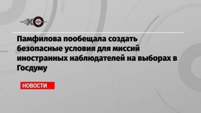 Памфилова пообещала создать безопасные условия для миссий иностранных наблюдателей на выборах в Госдуму