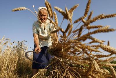 Сергей Леонов: «Работающие ветераны сельского хозяйства должны получать надбавку к пенсии»