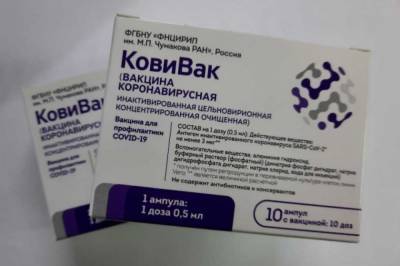 Южная Корея может одобрить российскую вакцину «КовиВак»