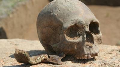 Человеческие останки нашли на участке в Ленобласти: похоронили в тряпке