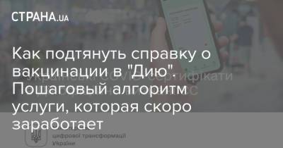 Как подтянуть справку о вакцинации в "Дию". Пошаговый алгоритм услуги, которая скоро заработает