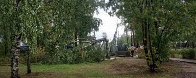 В Кировской области ураганный ветер повалил деревья и опрокинул теплицу