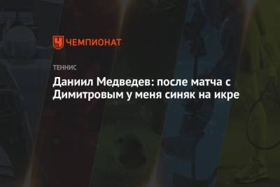 Даниил Медведев: после матча с Димитровым у меня синяк на икре