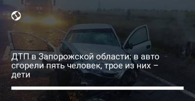 ДТП в Запорожской области: в авто сгорели пять человек, трое из них – дети