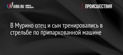 В Мурино отец и сын тренировались в стрельбе по припаркованной машине