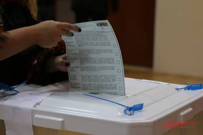 ЦИК создаст безопасные условия для иностранных наблюдателей на выборах в ГД