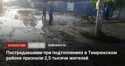 Пострадавшими при подтоплениях в Темрюкском районе признали 2,5 тысячи жителей