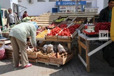 На пяти площадках Казани 21 августа пройдут специальные сельхозярмарки