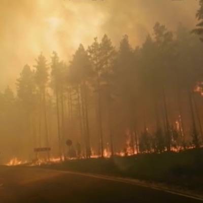 Площадь природного пожара в Марий Эл возросла до 700 га