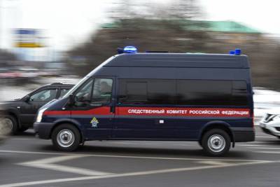СК требует арестовать еще двух фигурантов дела о ритуальном убийстве под Петербургом