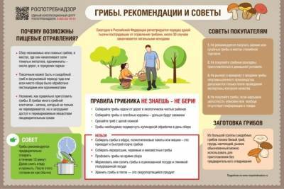 В Ивановской области уже в двух случаях грибы стали причиной отравлений