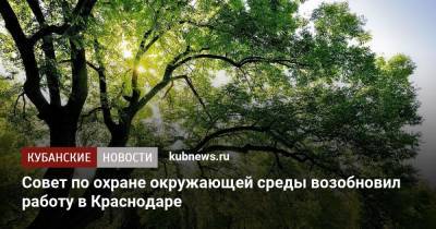 Совет по охране окружающей среды возобновил работу в Краснодаре
