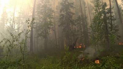 Для тушения пожара в мордовский заповедник направлены спасатели из других регионов