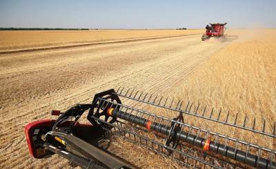 Sina (Китай): мировые цены на пшеницу остаются высокими