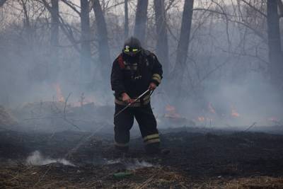 Площадь природных пожаров в Свердловской области увеличилась до 286 гектаров