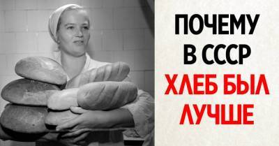Почему советский хлеб был вкуснее того, что мы берем в магазинах