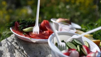 Ватные палочки и пластиковые тарелки: в Минприроды предложили запретить использование ряда одноразовых товаров