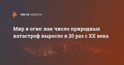 Мир в огне: как число природных катастроф выросло в 20 раз с XX века