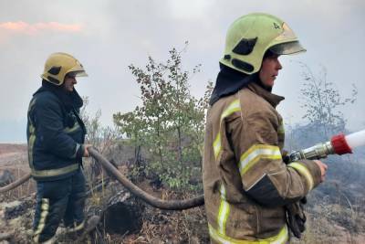 Вечером 20 августа в Марий Эл горят восемь участков леса