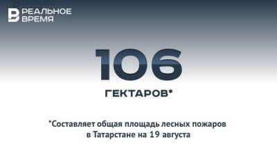 Общая площадь лесных пожаров в Татарстане составила около 106 га — это много или мало?