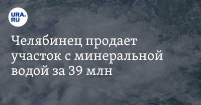 Челябинец продает участок с минеральной водой за 39 млн. Скрин