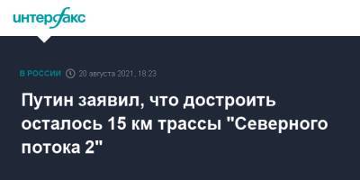 Путин заявил, что достроить осталось 15 км трассы "Северного потока 2"
