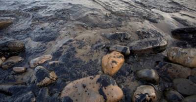 Российские власти пытаются скрыть крупный разлив нефти в Черном море, — эколог