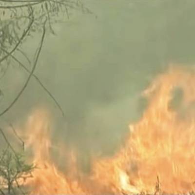 Лесной пожар в Марий Эл угрожает двум поселкам