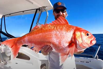Рыбак поймал гигантскую золотую рыбку - lenta.ru - Австралия - штат Квинсленд