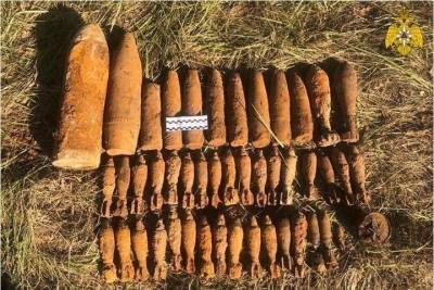 В Тверской области нашли 32 мины