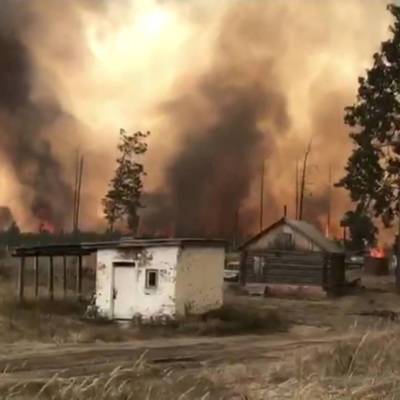 Один из двух очагов пожара в Мордовском природном заповеднике локализован