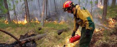 Свердловский губернатор назвал ситуацию с лесными пожарами контролируемой, но сложной